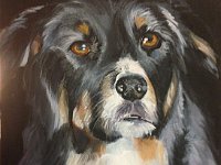 fiona 12x16